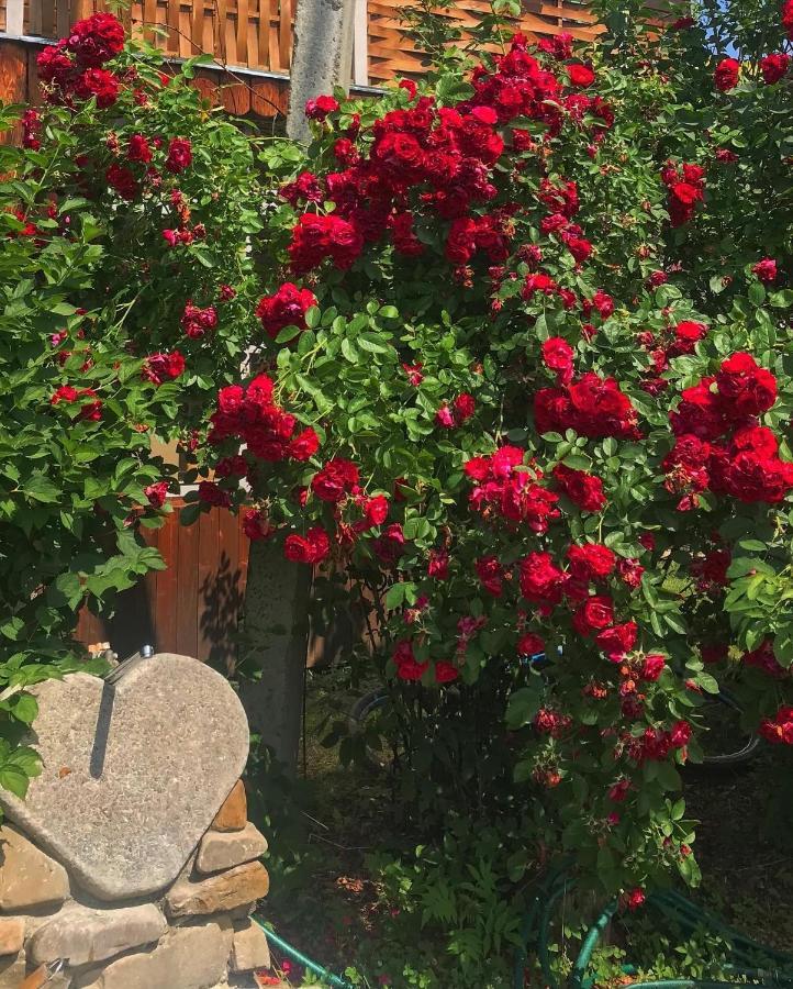 Karpats'Kyi Kalejdoskop Otel Slavske Dış mekan fotoğraf