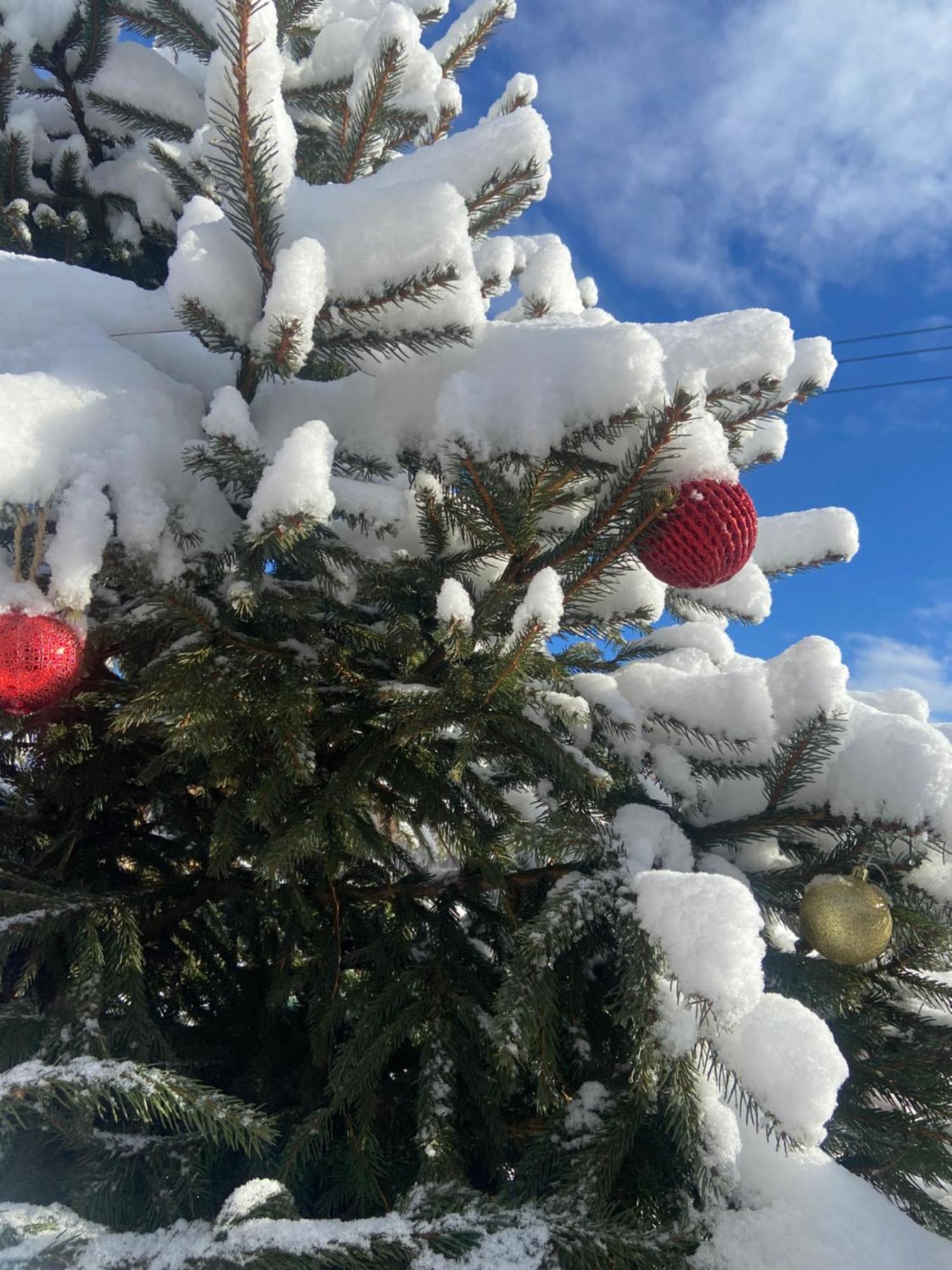 Karpats'Kyi Kalejdoskop Otel Slavske Dış mekan fotoğraf
